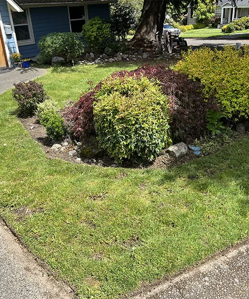 Landscaping Maintenance in Seattle 